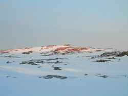Stutaheia