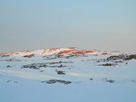 Stutaheia