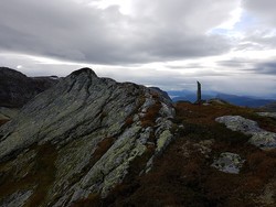 Høganove