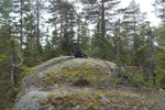 Smalstrømhøgda