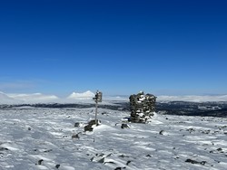 Gråhøgda