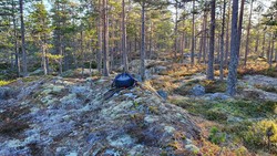 Niveliåsen