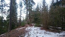 Storøya i Tyrifjorden