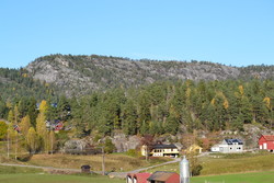 Braknesheia