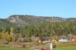 Braknesheia