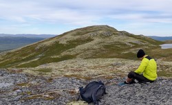 Stornatten