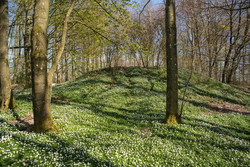 Yding Skovhøj