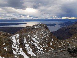 Domningen
