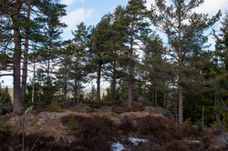 Donmåsahøgdene