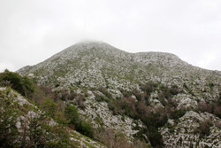 Sveti Jure
