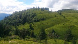 Vetle Hovden