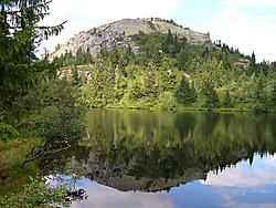 Alfarnuten