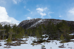 Gråurhaugen