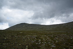 Skjerallen Vestre