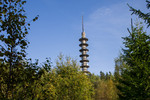 Røverkollen