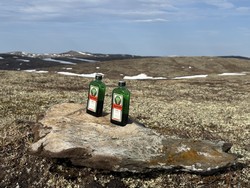 Dølbukammen