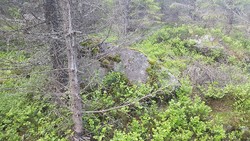 Kvesåsen