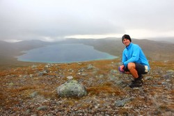 Steinfjellet