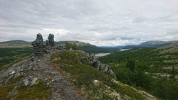 Nyhysgutein