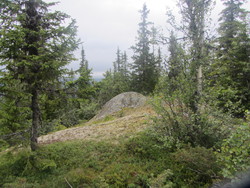 Batnehov