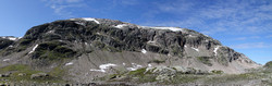 Stavsnuten