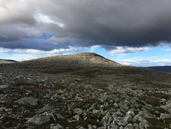 Grytholkollen