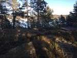 Lågøya