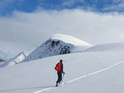Kvitfjellet
