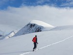 Kvitfjellet