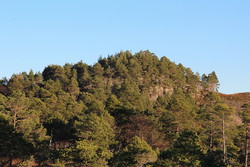 Høgåsen