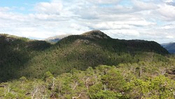 Litlbrannfjellet