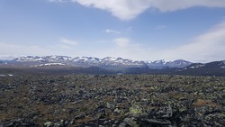 Gråhøe nord