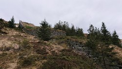 Bergensbakken