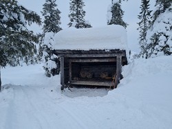 Demmtjernet gapahuk