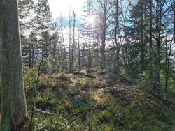 Trondsåsen