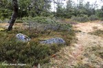 Heståsen