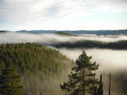 Stålfjellaksla