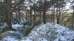 Ørnanipo