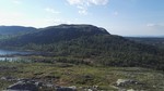Tobakkhusknatten