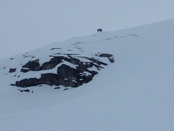 Timaglaset