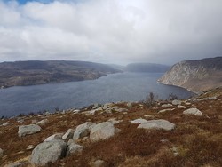 Ravnefjell utsikt