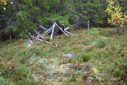Nybuåsen