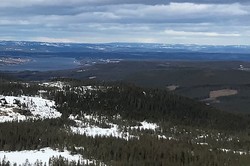 Lauvhaugen
