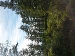 Haukeliåsen