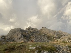 Syreglånå