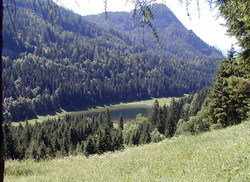 Fachbergsattel