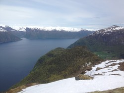 Vetlekusen