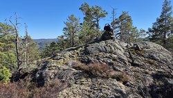 Krokvassheiane