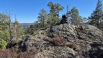 Krokvassheiane