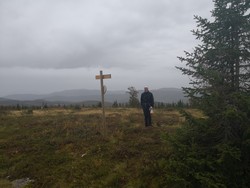 Surenåsen